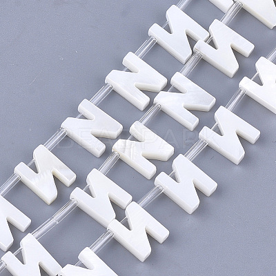 Freshwater Shell Beads X-SHEL-T012-59N-1