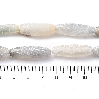 Natural Weathered Agate Beads Strands G-P570-C02-01-1