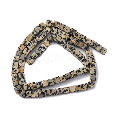 Natural Dalmatian Jasper Beads Strands G-F631-K30-1
