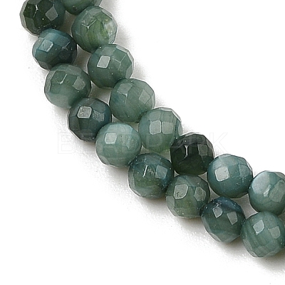 Natural Freshwater Shell Dyed Beads Strands SHEL-R100-12A-05-1