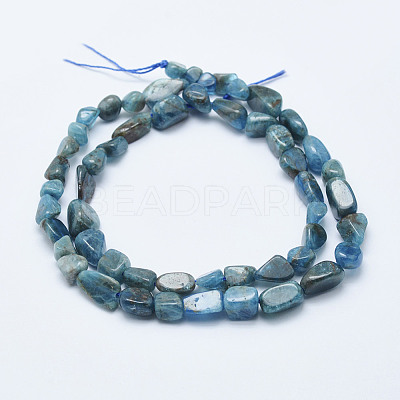 Natural Apatite Beads Strands LS-G-K203-13-1