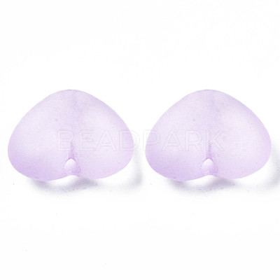 Transparent Acrylic Beads TACR-S134-030-1