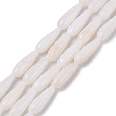Natural Freshwater Shell Beads Strands SHEL-A004-03-1
