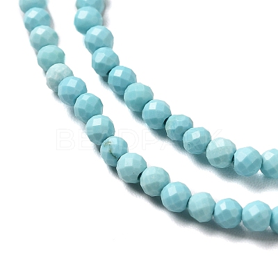 Natural Howlite Beads Strands G-C025-03A-01-1