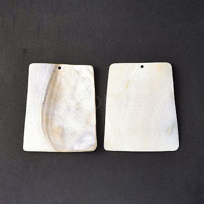 Freshwater Shell Big Pendants SHEL-C003-08-1