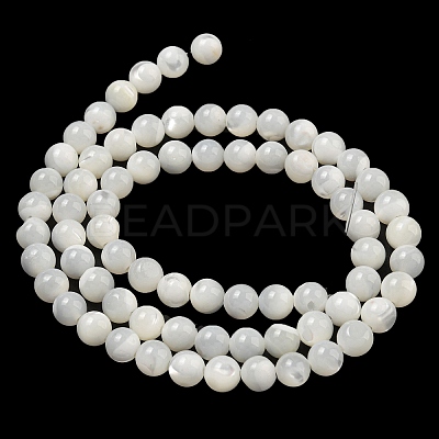 Natural Sea Shell Beads Strands SSHEL-K013-6mm-A-1