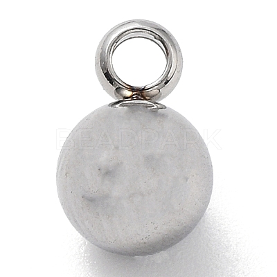 Non-Tarnish Round 304 Stainless Steel Charms with 201 Stainless Clasp STAS-N025-02-6mm-1