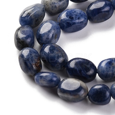 Natural Sodalite Beads Strands G-G146-A03-01-1