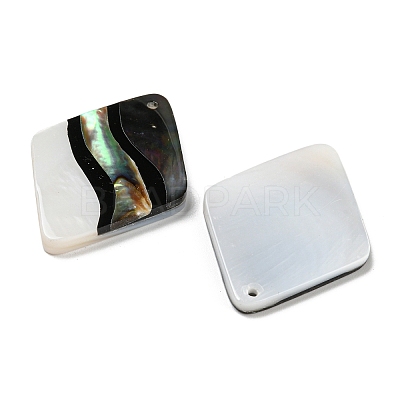 Natural Freshwater Shell & Black Lip Shell & Paua Shell & Natural White Shell Pendants BSHE-G034-06-1