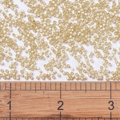 MIYUKI Delica Beads X-SEED-J020-DB0621-1