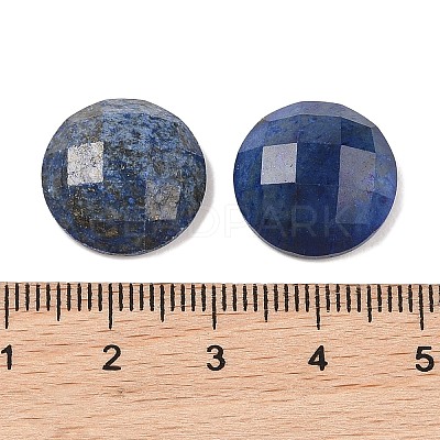 Natural Lapis Lazuli Cabochons G-C146-03I-1