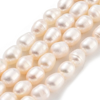 Natural Cultured Freshwater Pearl Beads Strands PEAR-P062-16B-X-1