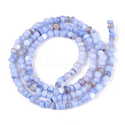 Natural Freshwater Shell Dyed Beads Strands SHEL-T020-29B-01-1