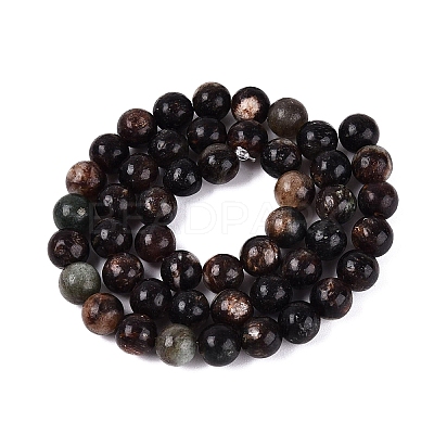 Natural Biotite Beads Strands G-Q616-01C-1