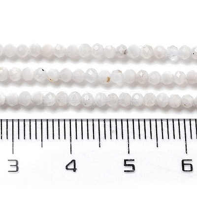 Natural Rainbow Moonstone Beads Strands G-G161-A01-01-1