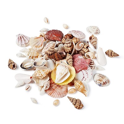 Mixed Shell Beads BSHE-TA0002-05-1