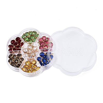 K9 Glass Charms GLAA-N038-22-01LG-1