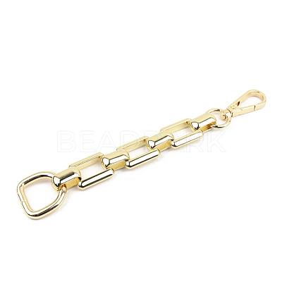 Alloy Purse Chains with D Clasps PURS-PW0007-06LG-1