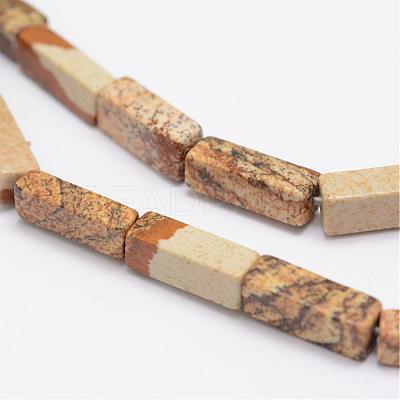 Natural Picture Jasper Beads Strands G-E342-04-1