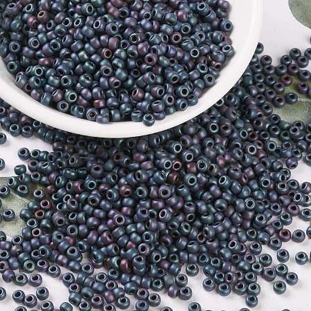 MIYUKI Round Rocailles Beads X-SEED-G008-RR2009-1