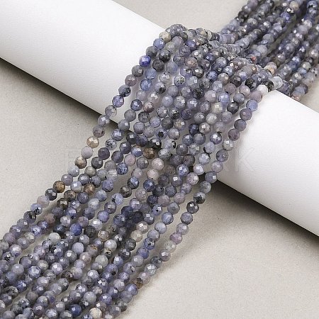 Natural Tanzanite Beads Strands G-C255-A01-3mm-1