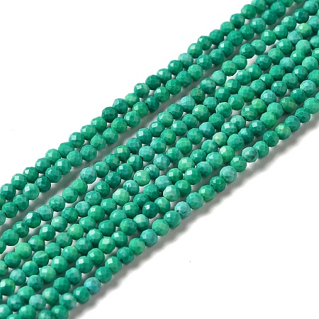 Natural Howlite Beads Strands G-C025-02A-02-1