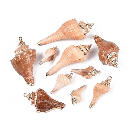 Electroplate Natural Sea Shell Big Pendants SSHEL-Q100-22KCG-1