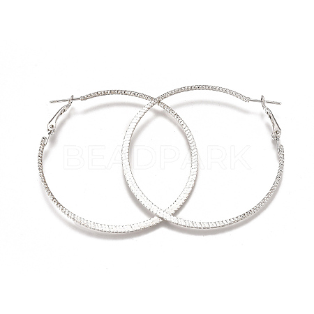 Iron Hoop Earrings EJEW-TAC0009-12P-1