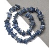 Natural Kyanite/Cyanite/Disthene Chip Beads Strands G-E271-78-5