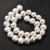Shell Pearl Beads Strands BSHE-F013-01A-3
