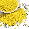 8/0 Glass Seed Beads X1-SEED-A010-3mm-42-1