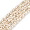 Natural Cultured Freshwater Pearl Beads Strands PEAR-L033-06-1