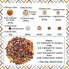 DIY Beads Kits DIY-SC0029-81A-2