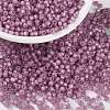MIYUKI Round Rocailles Beads X-SEED-G008-RR0645-1