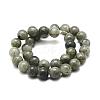 Natural Labradorite Bead Strands G-P256-01-12mm-2
