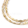 Natural Freshwater Shell Beads Strands BSHE-G036-03-3