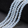Glass Beads Strands LS-EGLA-A034-J10mm-D06-1