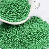 Baking Paint Glass Seed Beads X1-SEED-A033-05Q-1
