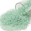 TOHO Round Seed Beads X-SEED-TR11-1065-1