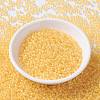 MIYUKI Round Rocailles Beads SEED-G008-RR0202-2