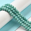 Dyed Natural Howlite Beads Strands G-G023-A01-01C-2