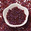 Spray Painted Glass Seed Beads SEED-F005-06A-03-2