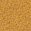 MIYUKI Delica Beads SEED-X0054-DB0651-3