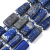 Natural Lapis Lazuli Beads Strands G-C270-K10-2