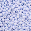 8/0 Opaque Glass Seed Beads X1-SEED-S048-N-001-3
