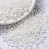 MIYUKI Round Rocailles Beads X-SEED-G008-RR0420-1