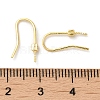 925 Sterling Silver Earring Hooks STER-P056-14G-3