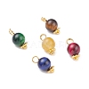 Natural Tiger Eye Beads Charms PALLOY-JF01069-1