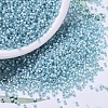 MIYUKI Delica Beads X-SEED-J020-DB0628-1