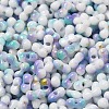 Two Tone Baking Paint Glass Seed Beads SEED-F005-01A-09-3
